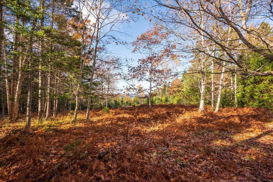 376 West Bay Road, Islesboro, ME 04848 - Image #3