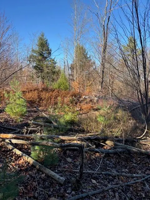 M 6, L 32 Main Street, Wayne, ME 04284