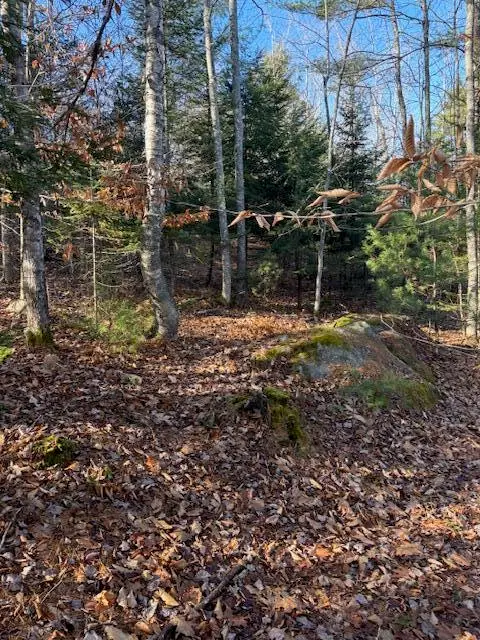 M 6, L 32 Main Street, Wayne, ME 04284 - Image #2