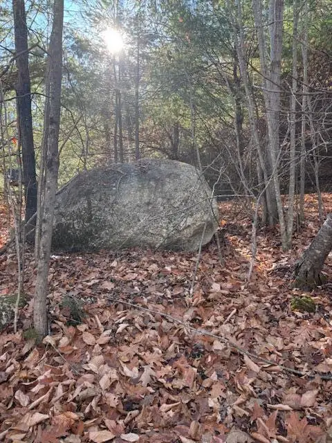 M 6, L 32 Main Street, Wayne, ME 04284 - Image #3