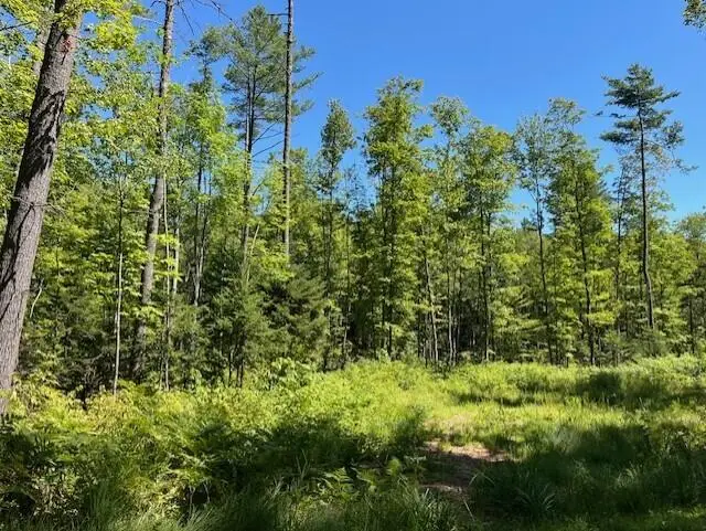 Lot 045 Sawyer Notch Road, Andover, ME 04216 - Image #2