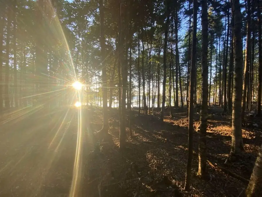 Lot 3 Widerness Way N, Wesley, ME 04686 - Image #2