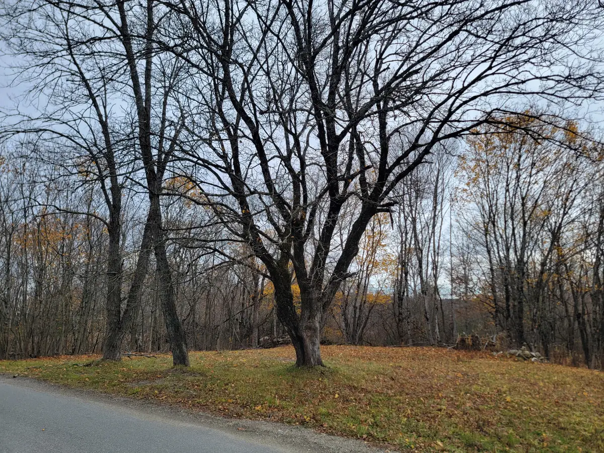 362 Main Street, Baileyville, ME 04694 - Image #1