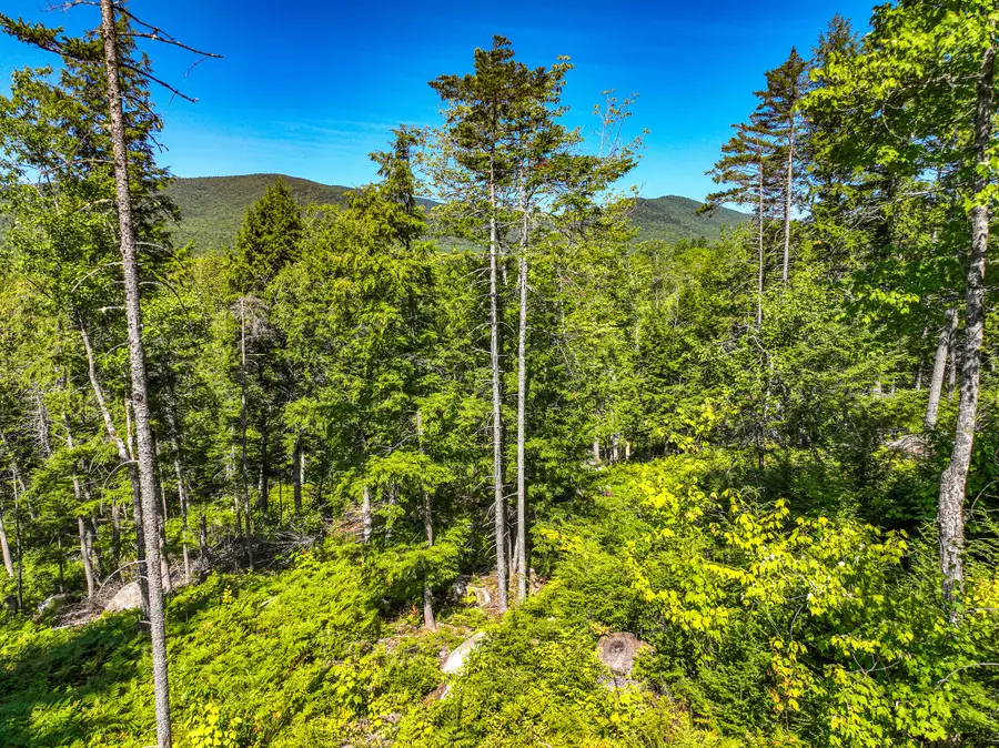 Lot 39 Sawyer Notch Road, Andover, ME 04216 - Image #3