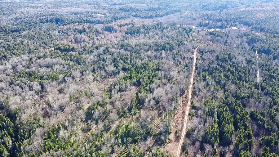 Map 04 Lots #2-15,2-16 Yellow Birch Road, Whiting, ME 04691 - Image #2