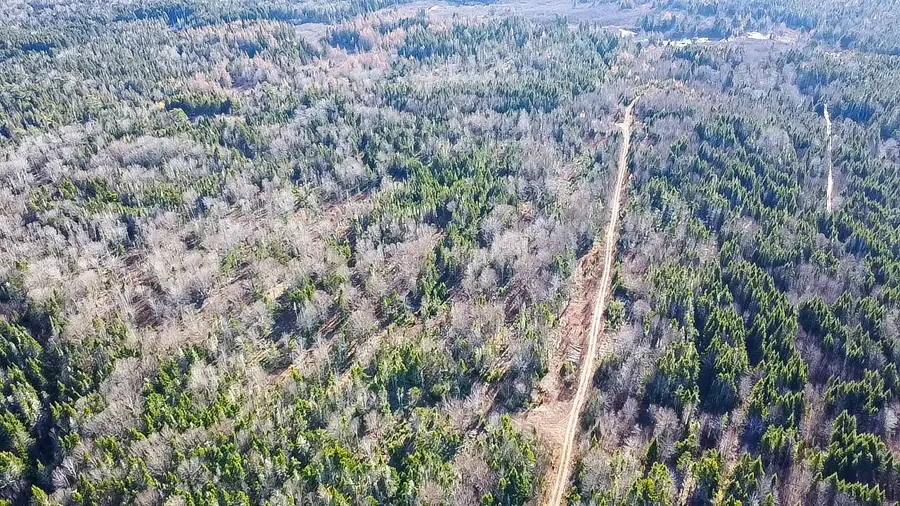 Map 04 Lots #2-15,2-16 Yellow Birch Road, Whiting, ME 04691 - Image #3