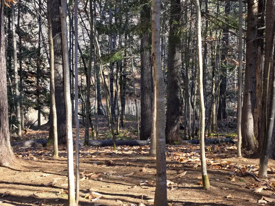 31 Sand Road, Naples, ME 04055 - Image #3