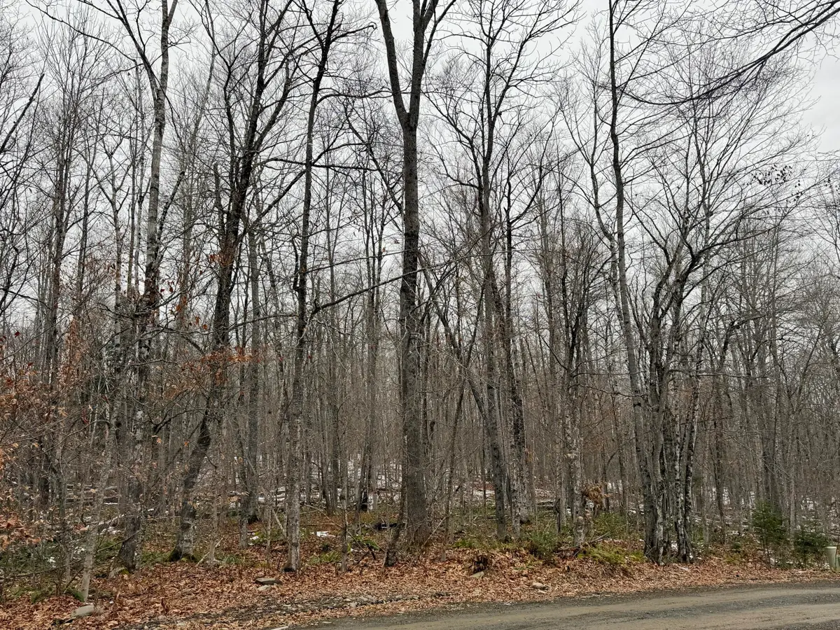 Lot 104 Hornheam Ridge Road, Dexter, ME 04930 - Image #1