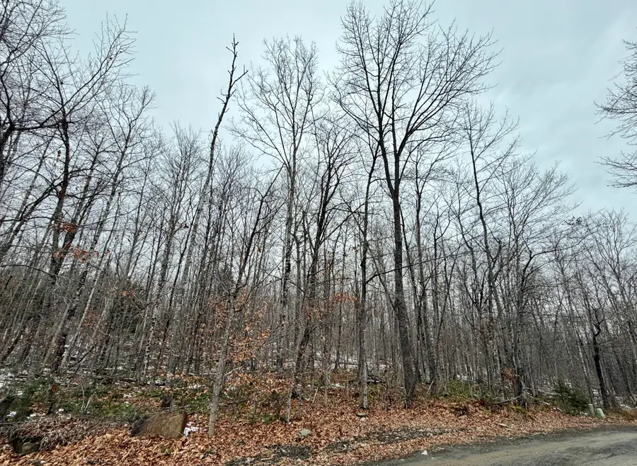 Lot 104 Hornheam Ridge Road, Dexter, ME 04930 - Image #2