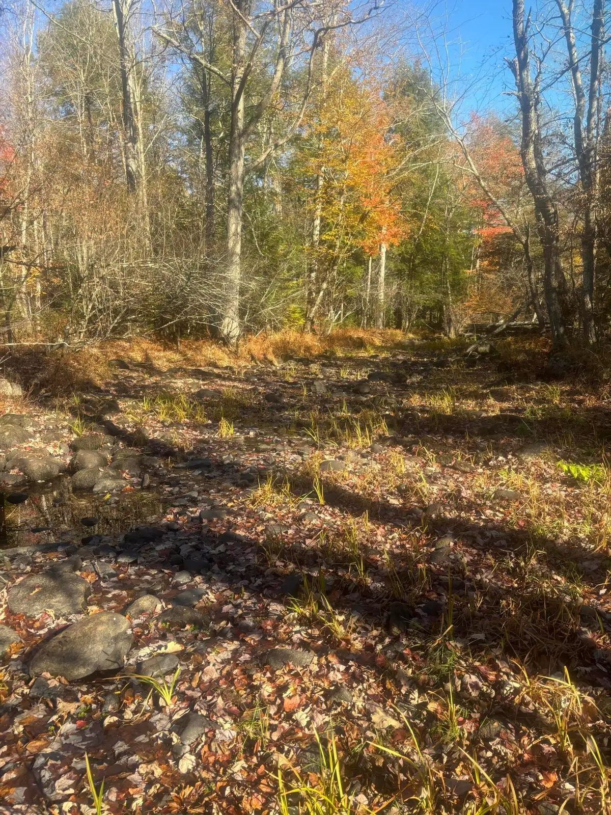 0000 Kimball Schoolhouse Rd Lane, Mercer, ME 04957 - Image #1