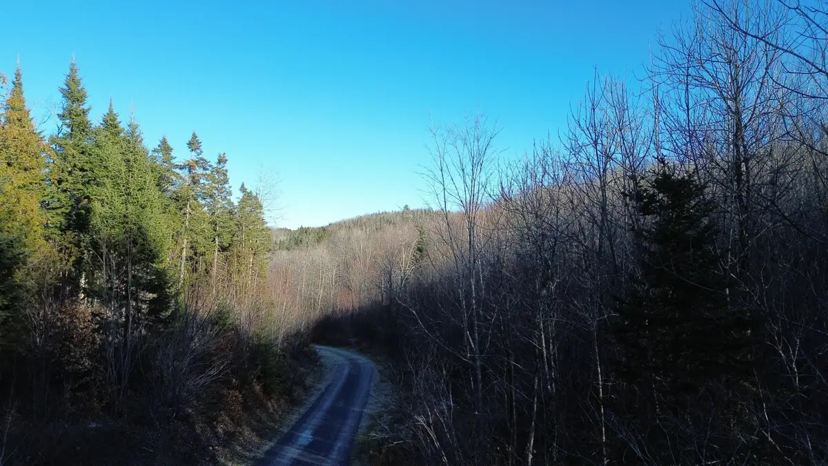 M5 L46D Black Bear Avenue, Frenchville, ME 04745 - Image #1