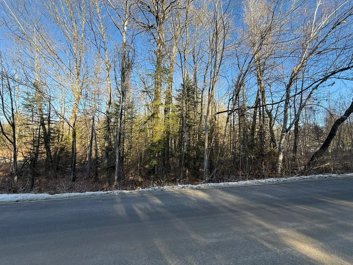 Lot 010 Hope Road, Newport Town, ME 04250 - Image #1