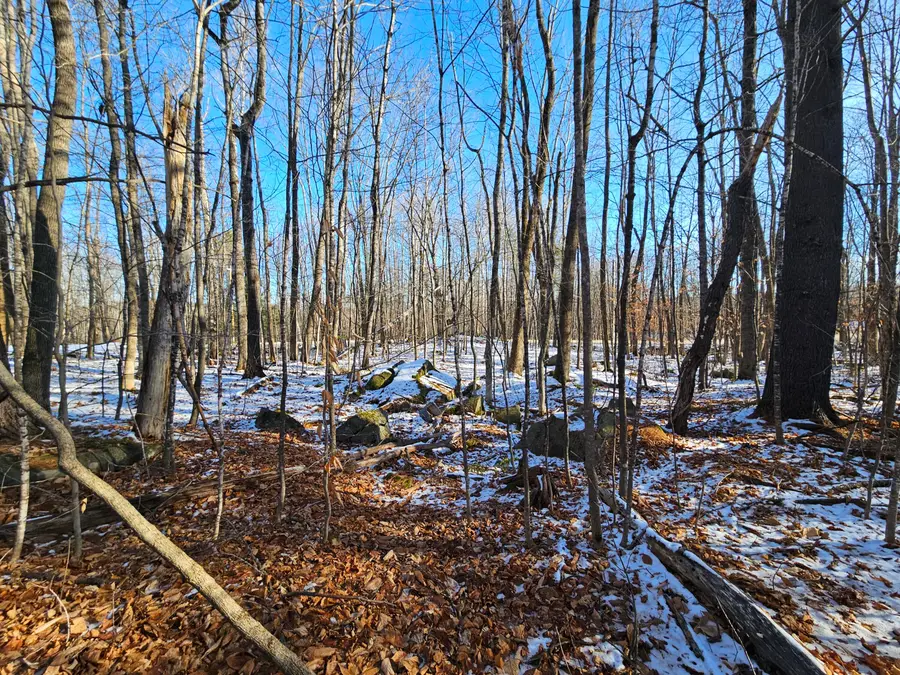 R09-L13-3 Ski Slope Road, Farmington, ME 04938 - Image #3