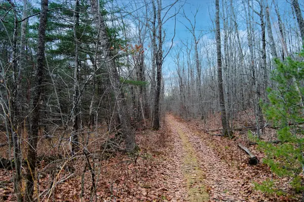 Lot 151 Dunbar Road, Thomaston, ME 04861