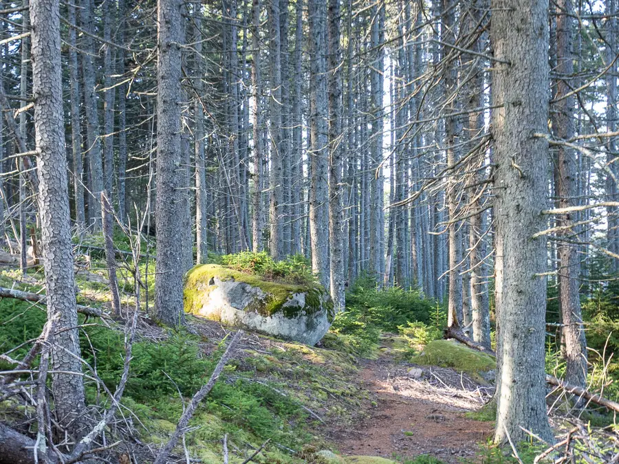 63 Minturn Road, Swans Island, ME 04685 - Image #2