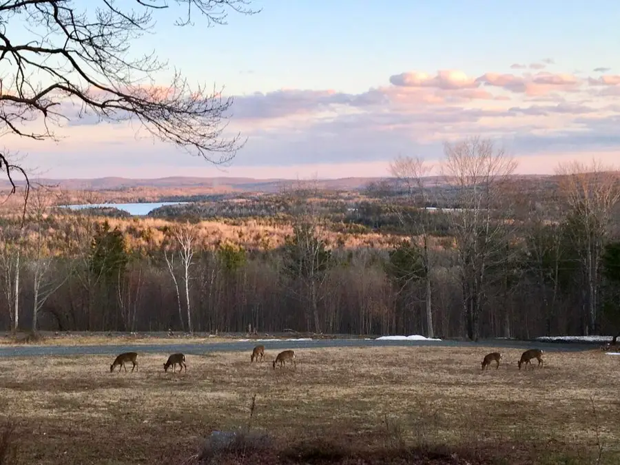 124 Gray Road, Sangerville, ME 04479 - Image #3