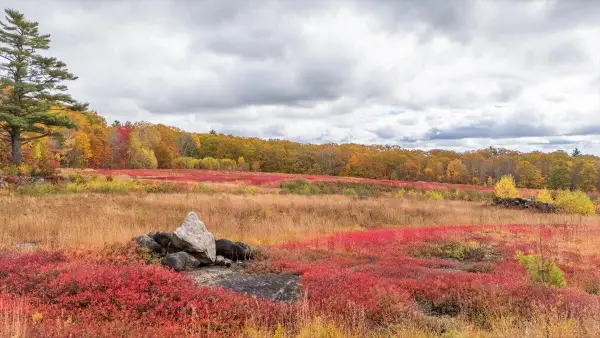 Map 4 Lot 3 Clarry Hill Lane, Union, ME 04862