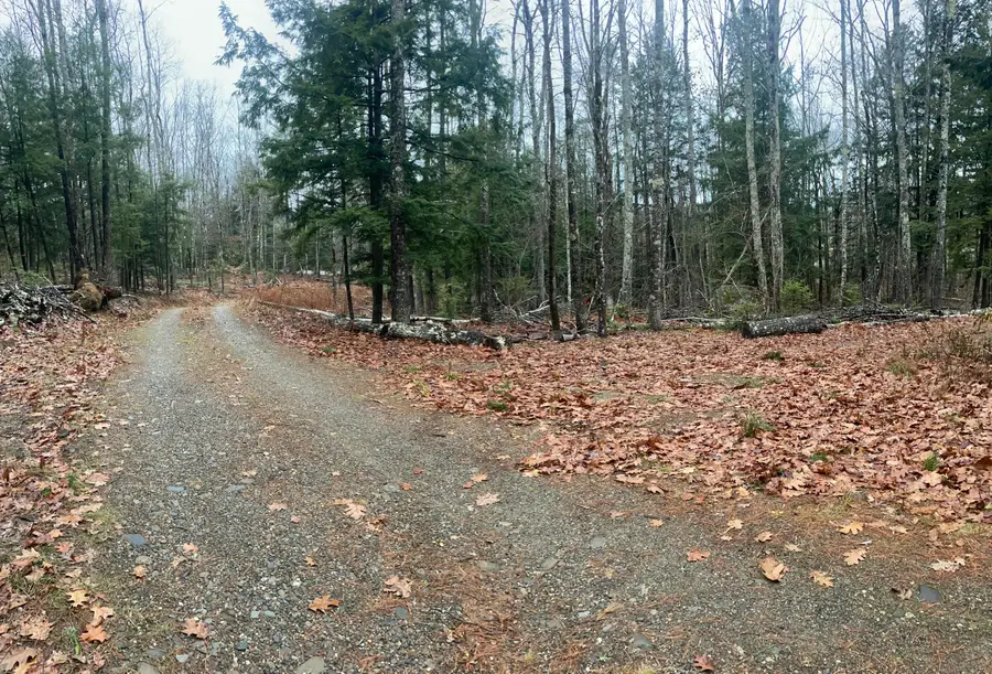 1651 Swan Lake Avenue, Swanville, ME 04915 - Image #2