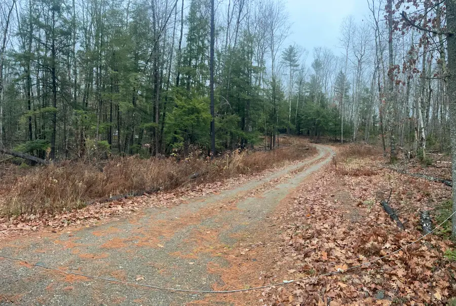 1651 Swan Lake Avenue, Swanville, ME 04915 - Image #3