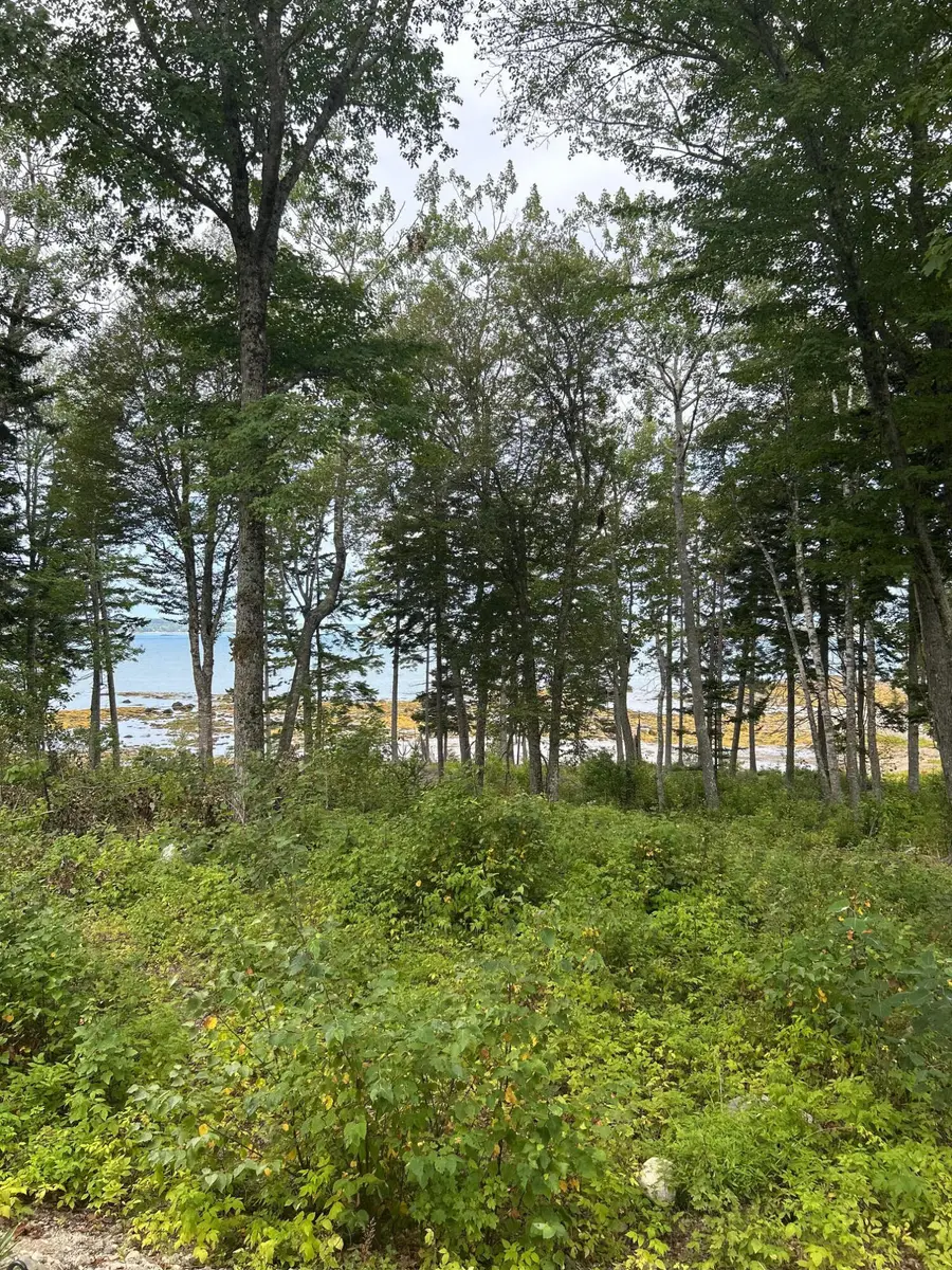 216 S Estates Road, Steuben, ME 04680 - Image #2