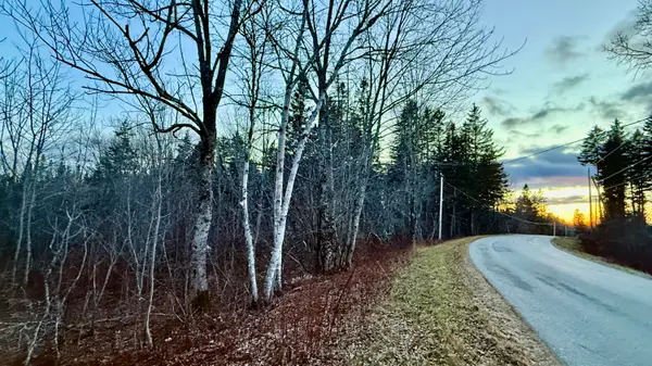 28.4 Wilcox Road, Trescott Twp, ME 04652