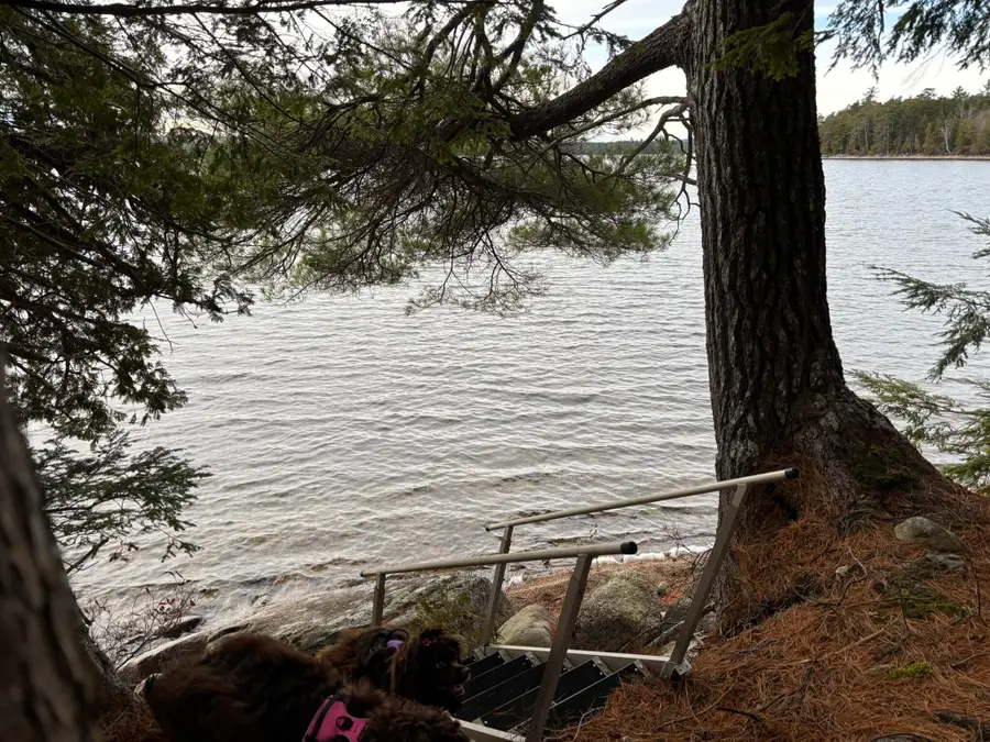 189 Horseshoe Cove Road, Lakeville, ME 04487 - Image #3