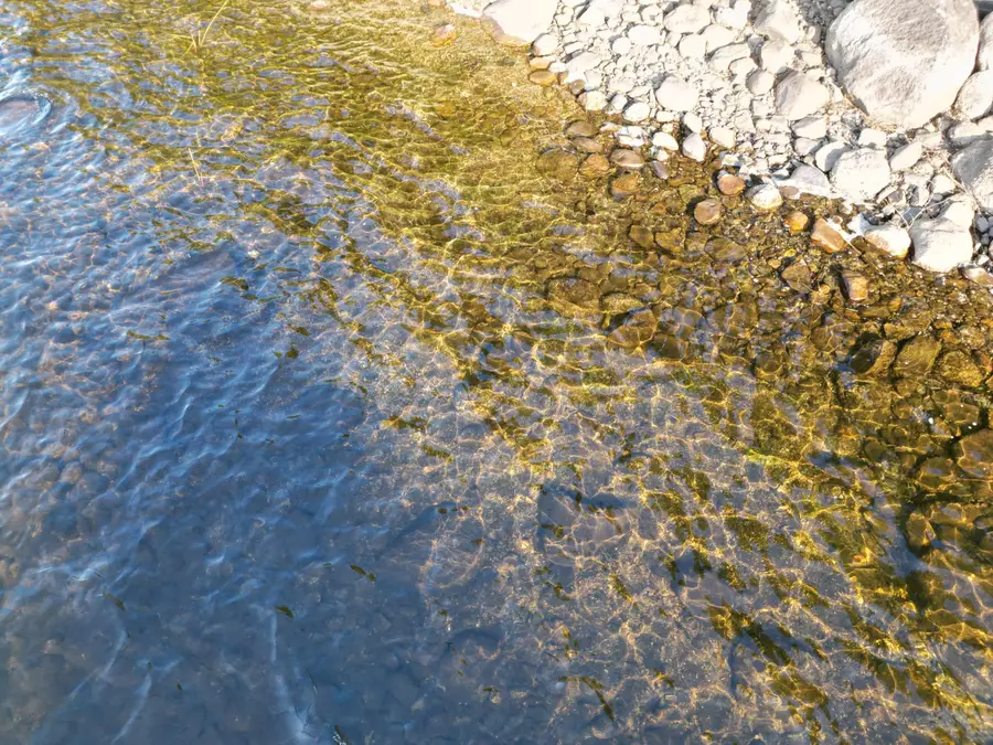 153 Pine Cone Trail, Lakeville, ME 04487 - Image #3