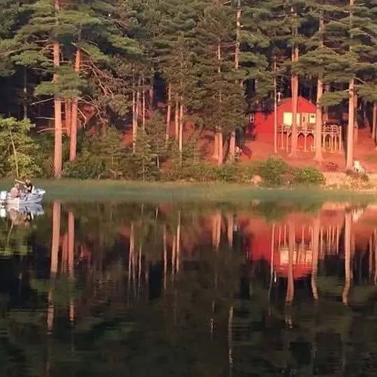 2 Eagles Perch Road, Northfield, ME 04654 - Image #3