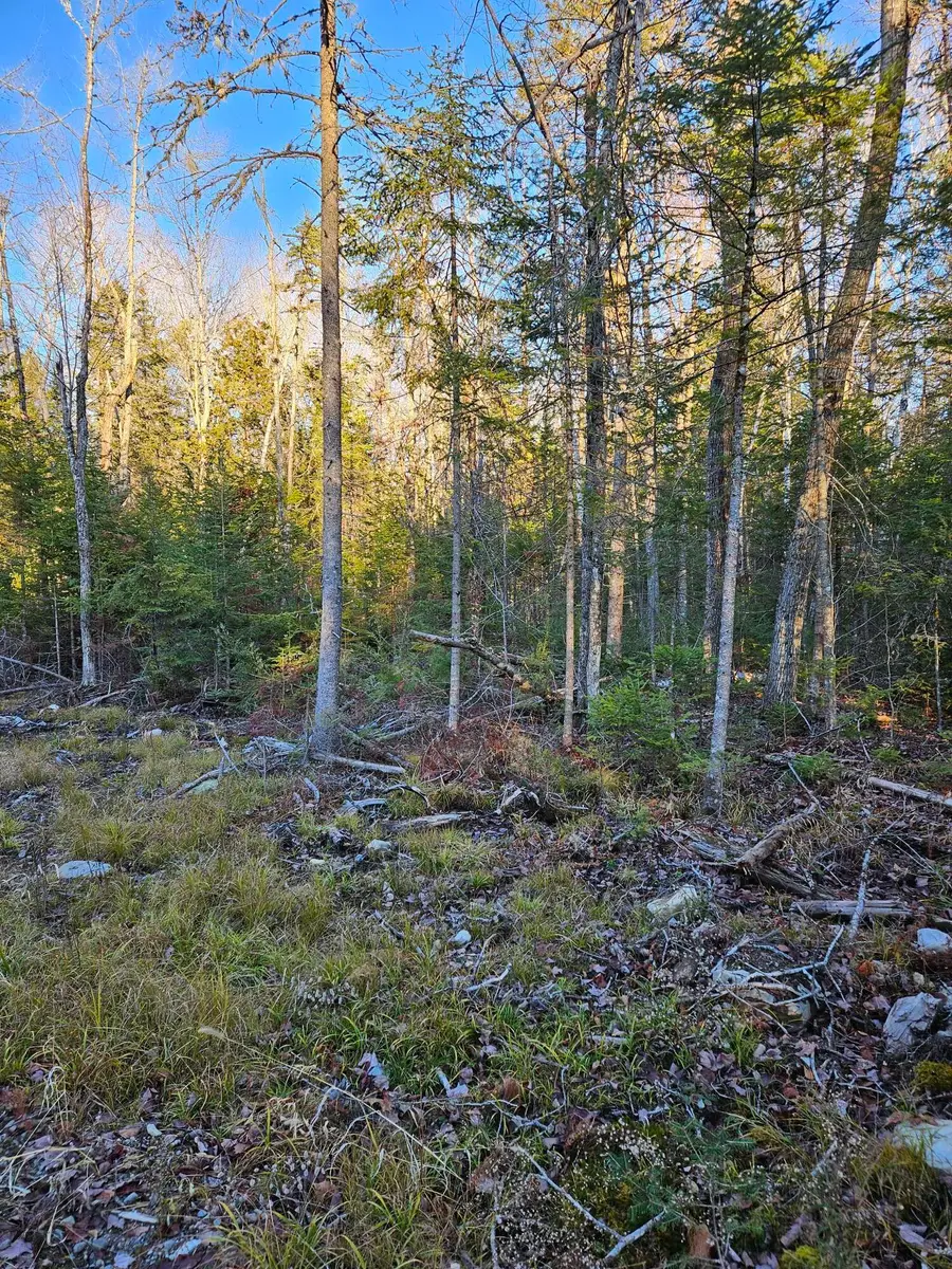 199 Poplar Street, Old Town, ME 04468 - Image #2