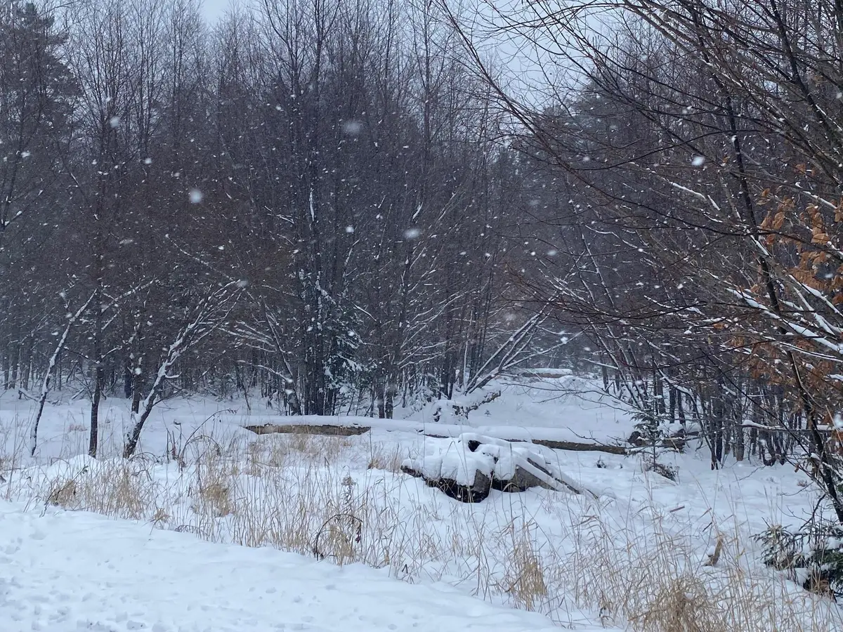 Lot 225 W Birch Lane, Beaver Cove, ME 04441 - Image #1