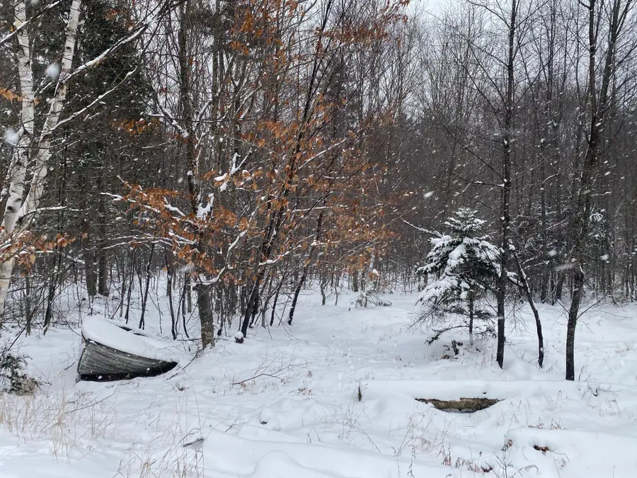 Lot 225 W Birch Lane, Beaver Cove, ME 04441 - Image #2