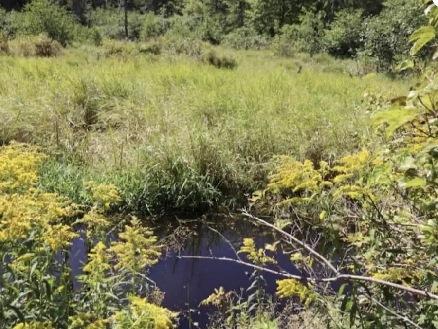 0 Beechwood Street, Warren, ME 04864 - Image #3