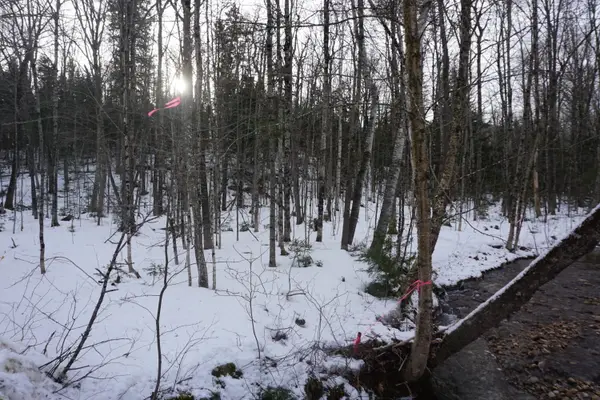 M13L18A-1 Redding Road, Woodstock, ME 04219