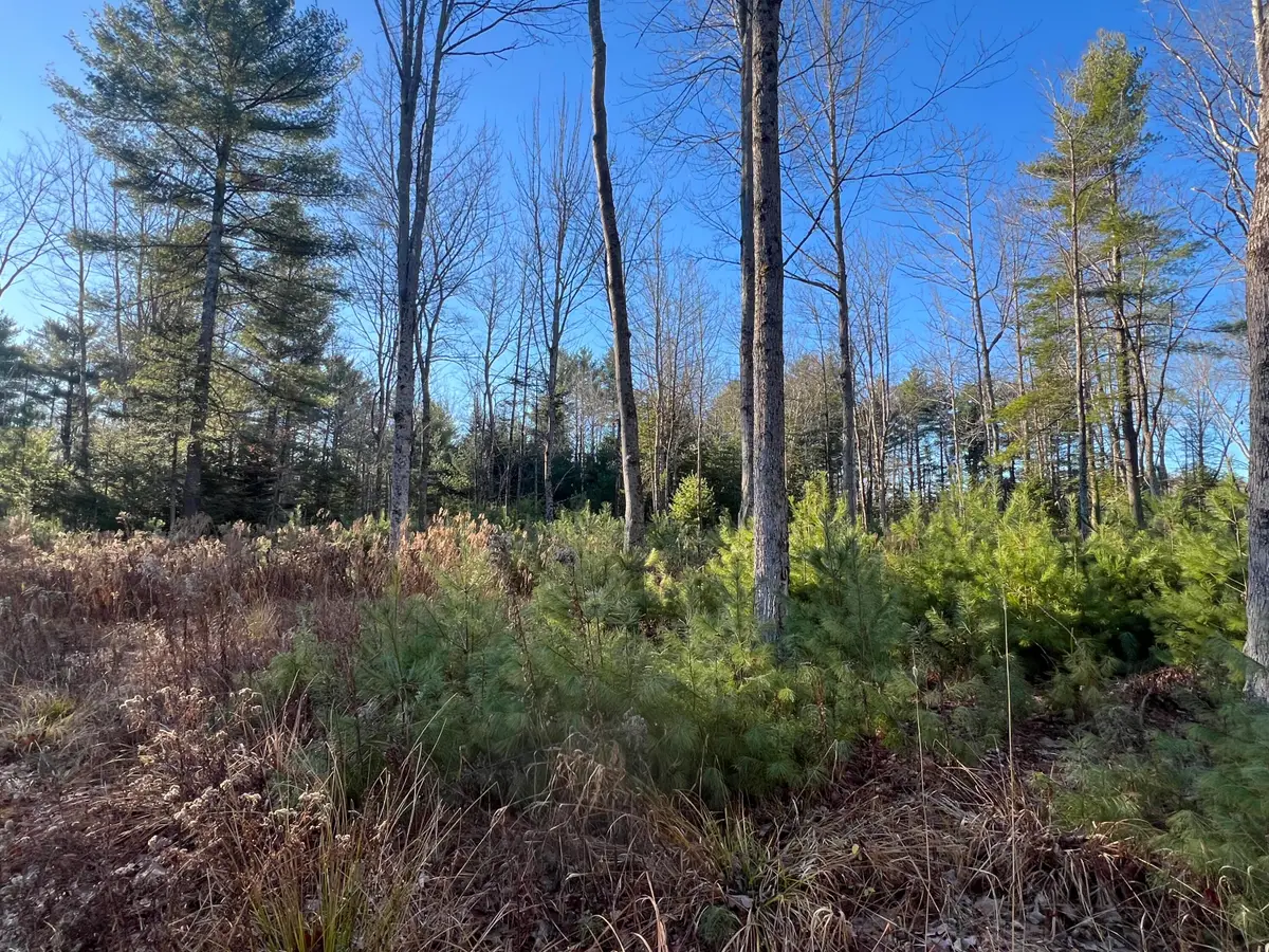 Lot # 7 Cranberry Way, Bowdoinham, ME 04008 - Image #1