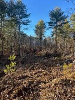 866 Parker Farm Road #B, Buxton, ME 04093 - Image #3