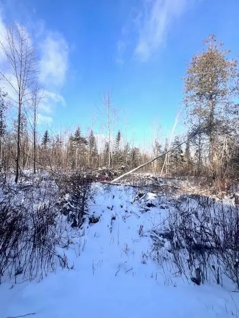 M8 P/O 1 Drews Mill Road, Linneus, ME 04730 - Image #2