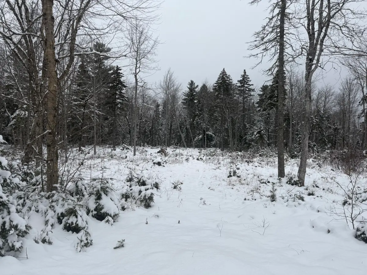 Lot 11 Sunset Hill Road, Hancock, ME 04640 - Image #1