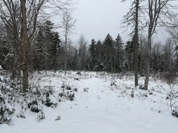 Lot 11 Sunset Hill Road, Hancock, ME 04640