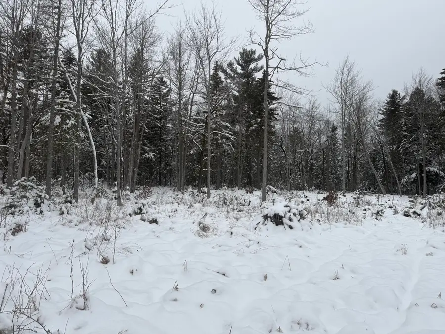 Lot 11 Sunset Hill Road, Hancock, ME 04640 - Image #2