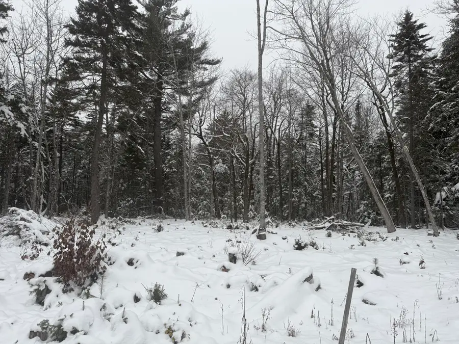 Lot 11 Sunset Hill Road, Hancock, ME 04640 - Image #3