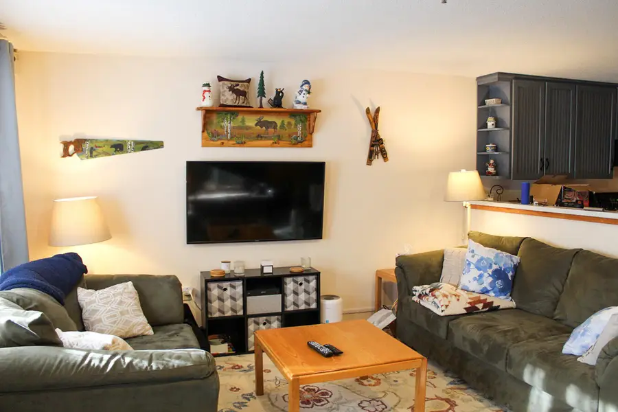 2549 Trout Brook Lane #2549, Carrabassett Valley, ME 04947 - Image #2