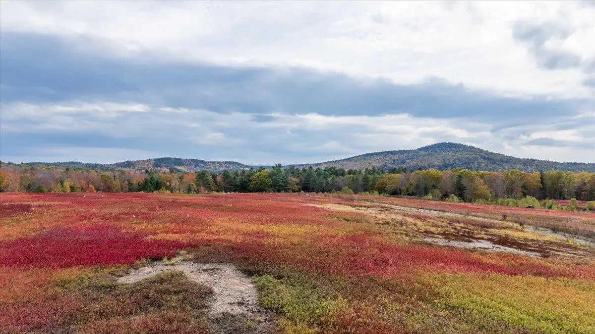 423 Beech Hill Road, Northport, ME 04849 - Image #1