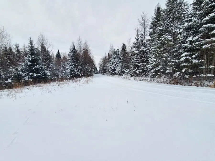 0 Off Jemtland Road Lot 82.5, Connor, ME 04736 - Image #2