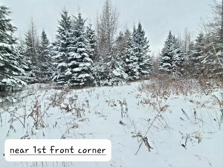 0 Off Jemtland Road Lot 82.5, Connor, ME 04736 - Image #3