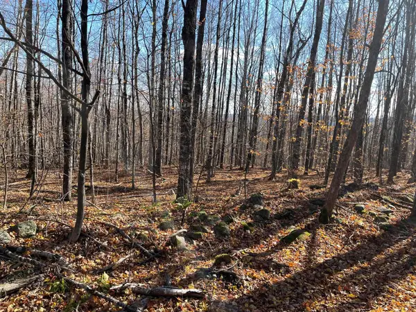 LOT#29 Bradley Drive, Harmony, ME 04942