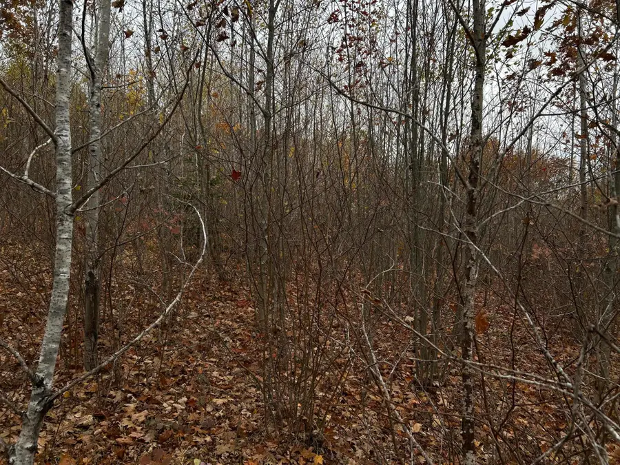 M4L18 Bog Road, Jackson, ME 04921 - Image #2