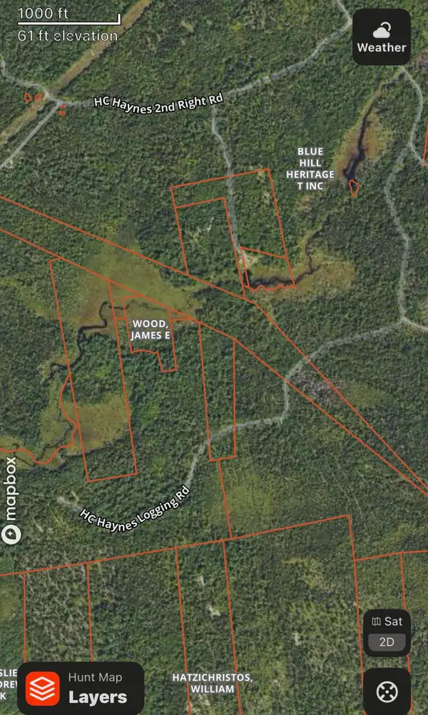 Map 38 Lot 11, Surry, ME 04684