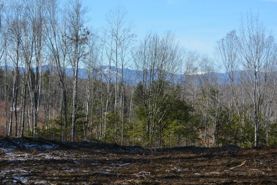 Lot 137.25 French Hill Road, South Oxford, ME 04217 - Image #2