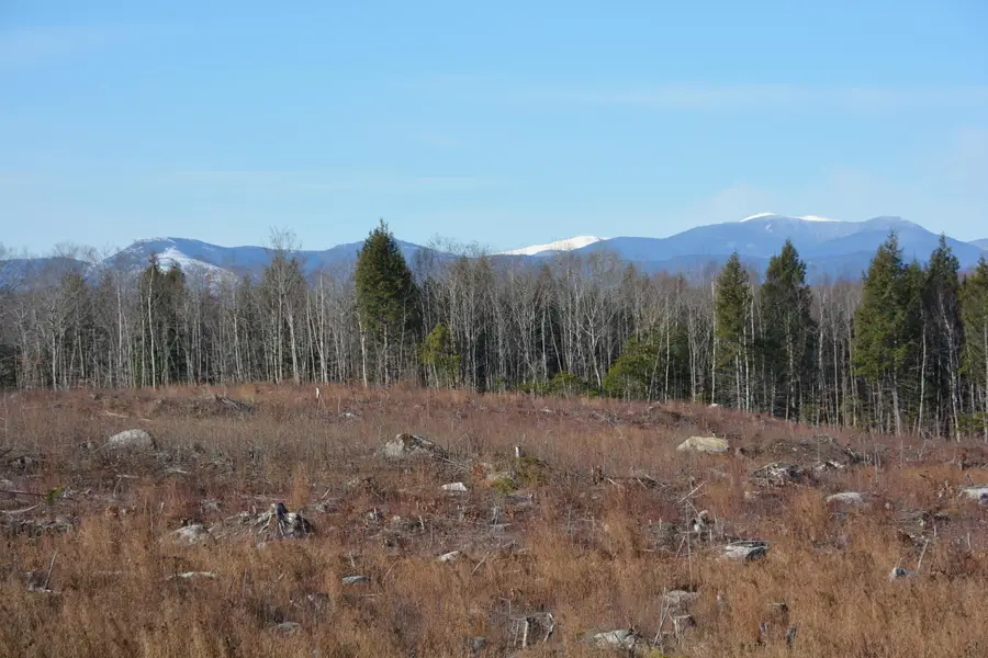 0 French Hill Road, South Oxford, ME 04217 - Image #2