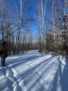 Lot#32 Beech Ridge Lane, West Paris, ME 04289 - Image #2